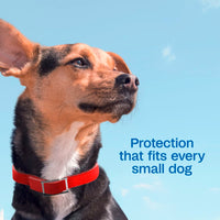 Adams Plus Flea & Tick Collar for Small Dogs & Puppies 7 Month Protection 3PK