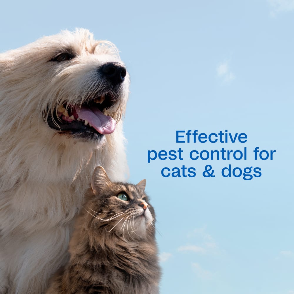 Adams Flea & Tick Spray for Dogs & Cats 16 oz. Kills Fleas Eggs Larvae Ticks