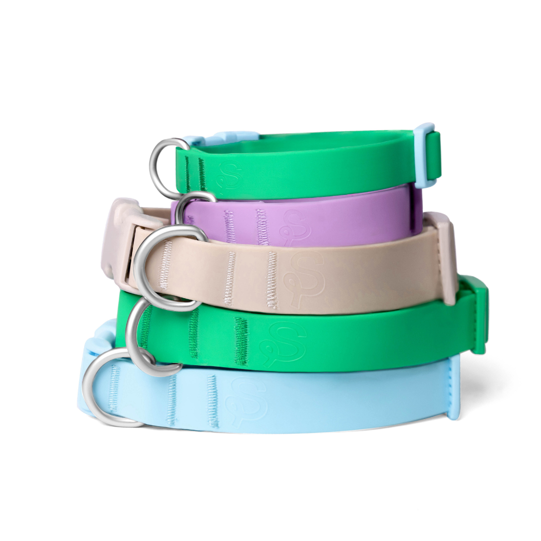 Waterproof Dog Collar - BIG FRENCHIES