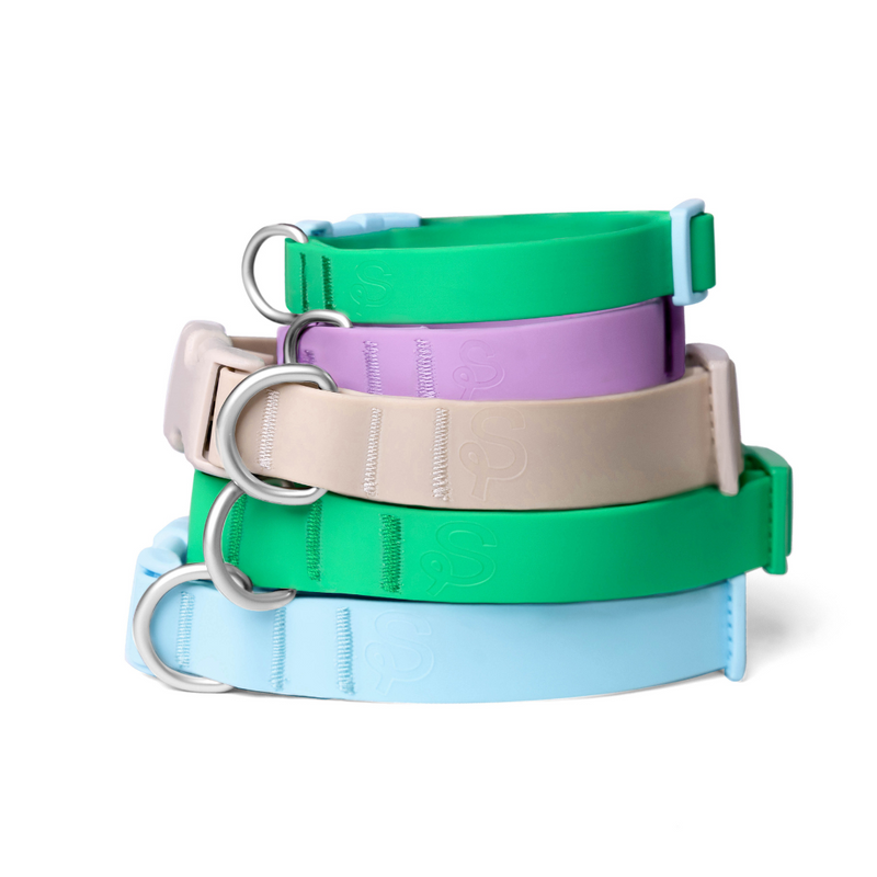 Waterproof Dog Collar - BIG FRENCHIES