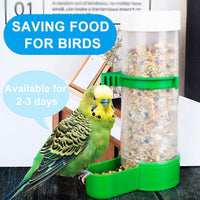 Bird Feeder - BIG FRENCHIES