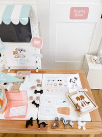 Vet Clinic Dramatic Play