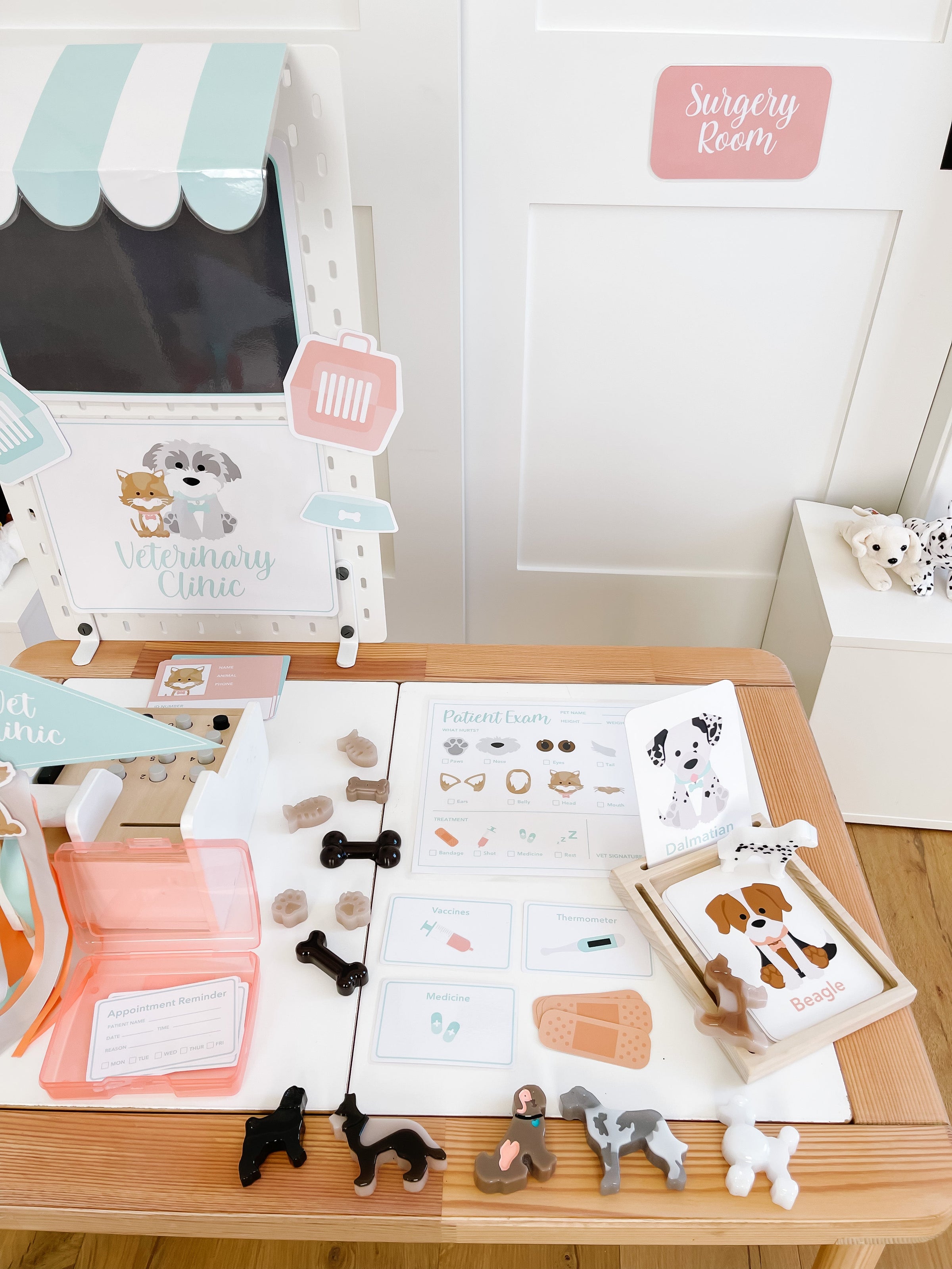 Vet Clinic Dramatic Play