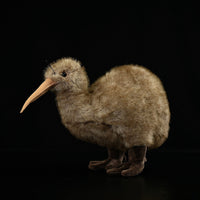 Kiwi Plush Toy New Zealand Juwei Doll