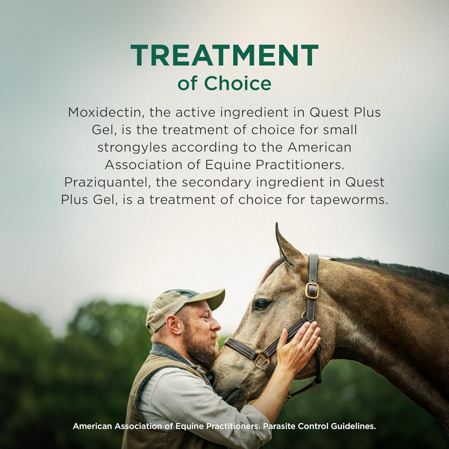 Zoetis Quest Plus Horse Wormer Gel Moxidectin Praziquantel Paste Tube
