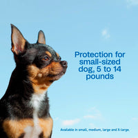 Adams Complete Indoor & Outdoor Flea Treatment System for Small Dogs 5–14 lbs Bundle