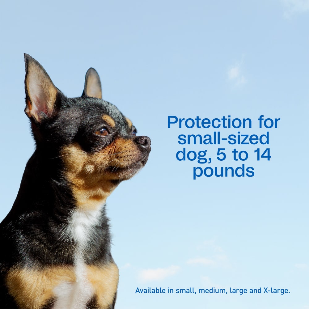 Adams Complete Indoor & Outdoor Flea Treatment System for Small Dogs 5–14 lbs Bundle