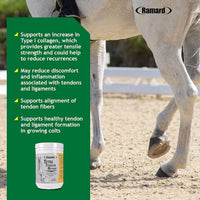 Ramard Total Tendon Repair 1.12lb 30-Day Horse Tendon Ligament Support TendoFit