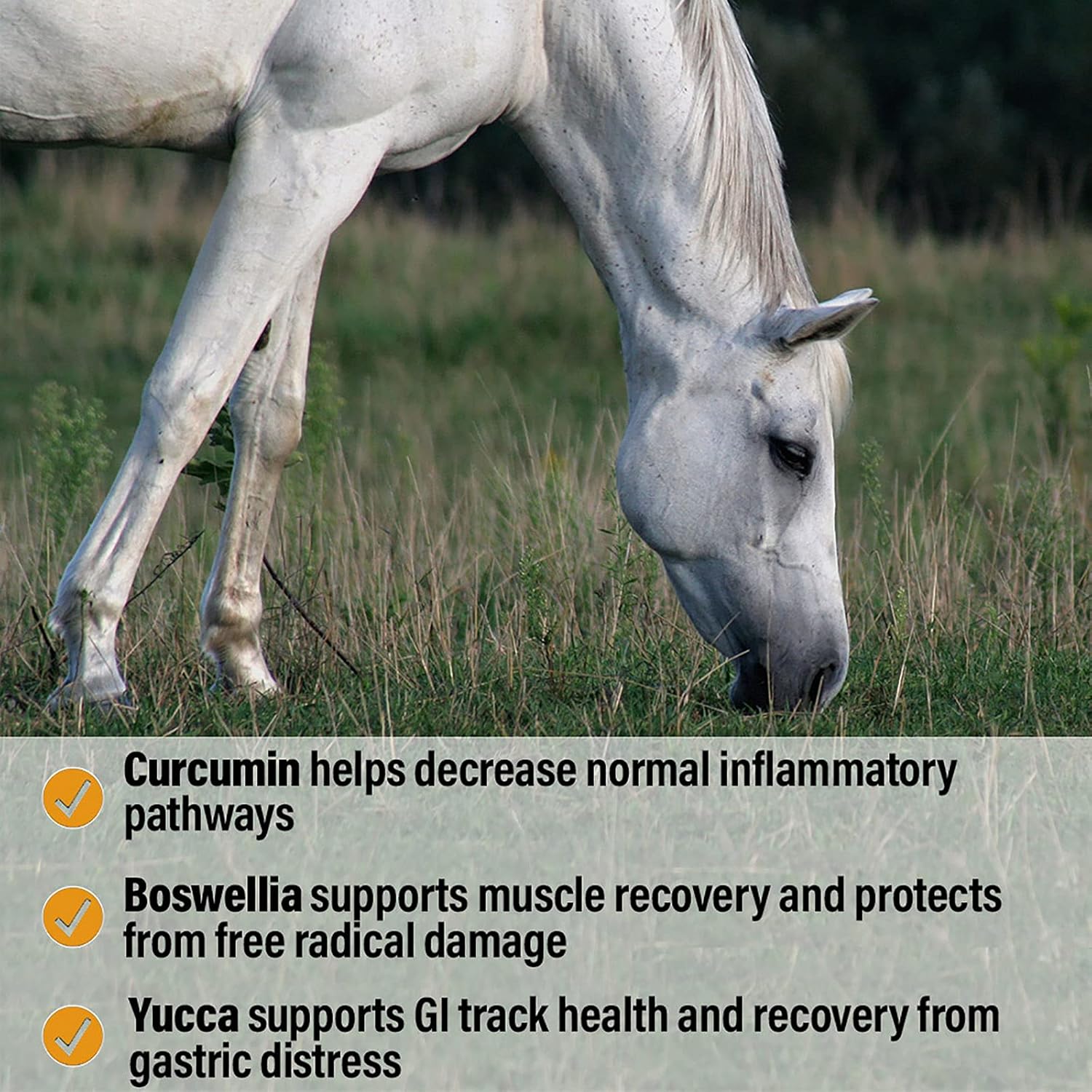 Absorbine Bute-Less Performance Comfort & Recovery Support Pellets 3.75 lbs.