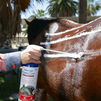 Vetericyn FoamCare Equine Medicated Shampoo Horse Coat 32 oz.