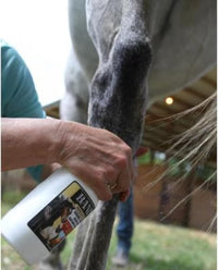 Banixx Shampoo & Spray 16 oz – Horse & Dog Skin & Coat Care Bundle