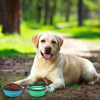 Collapsible Bowl With Cover Lids,2 Pack Dog Travel Bowls Portable Foldable Cat Water Dish Bowl For Pets Walking Parking 