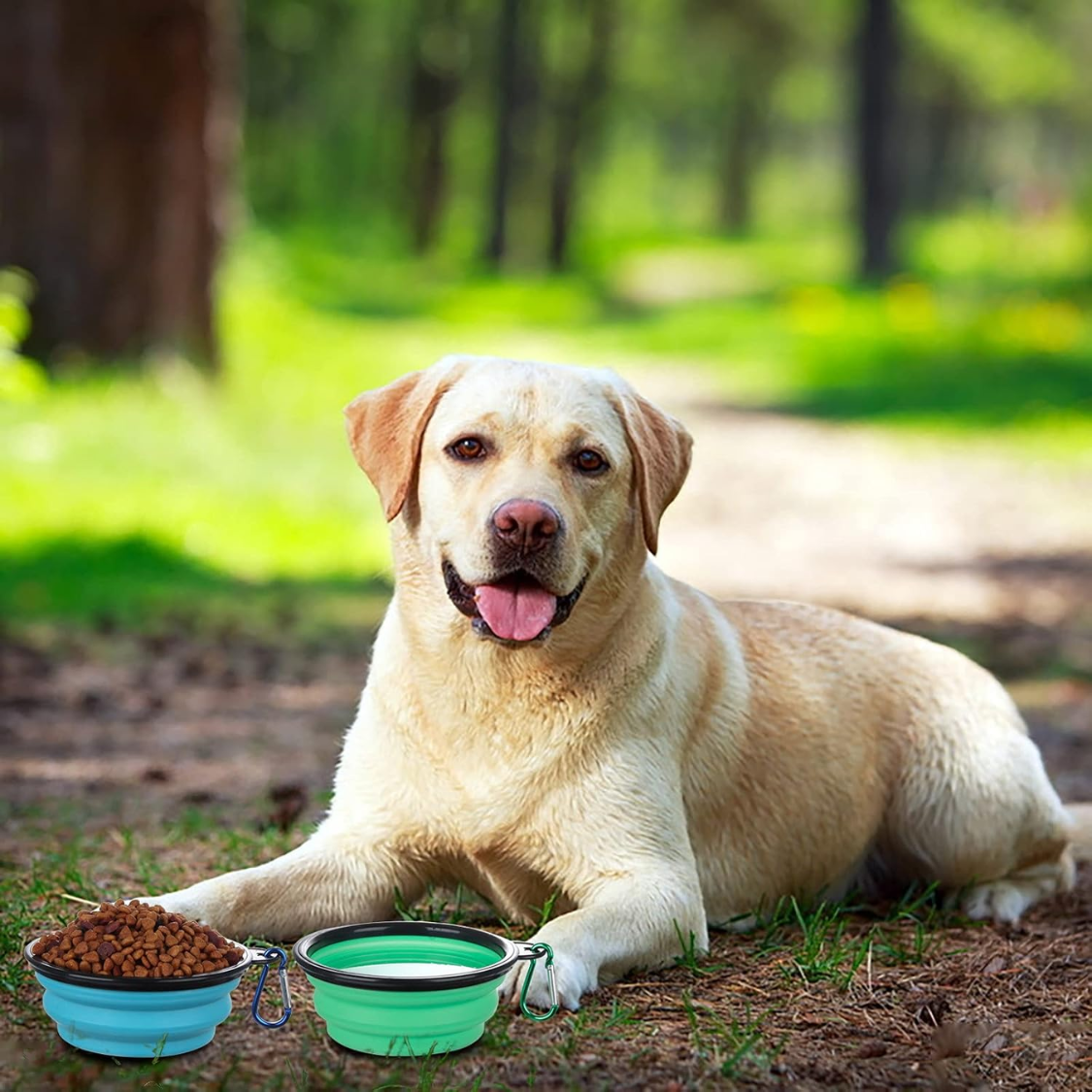 Collapsible Bowl With Cover Lids,2 Pack Dog Travel Bowls Portable Foldable Cat Water Dish Bowl For Pets Walking Parking 