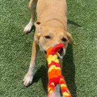 Interactive Tug & Treat-Dispenser Toy for Dogs Teething Relief Orange