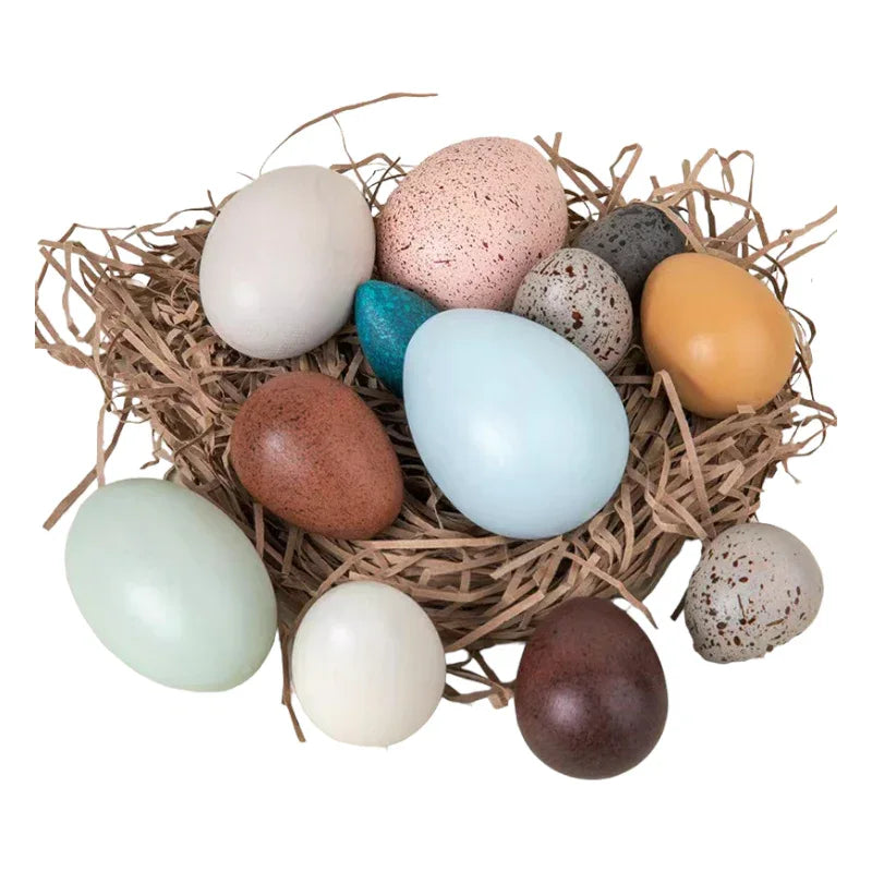 12-Piece Wooden Bird Eggs Set – Nature-Inspired Sensory & Pretend Play - BIG FRENCHIES