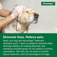 12 Oz Flea & Tick Shampoo for Puppies & Adult Dogs . - BIG FRENCHIES