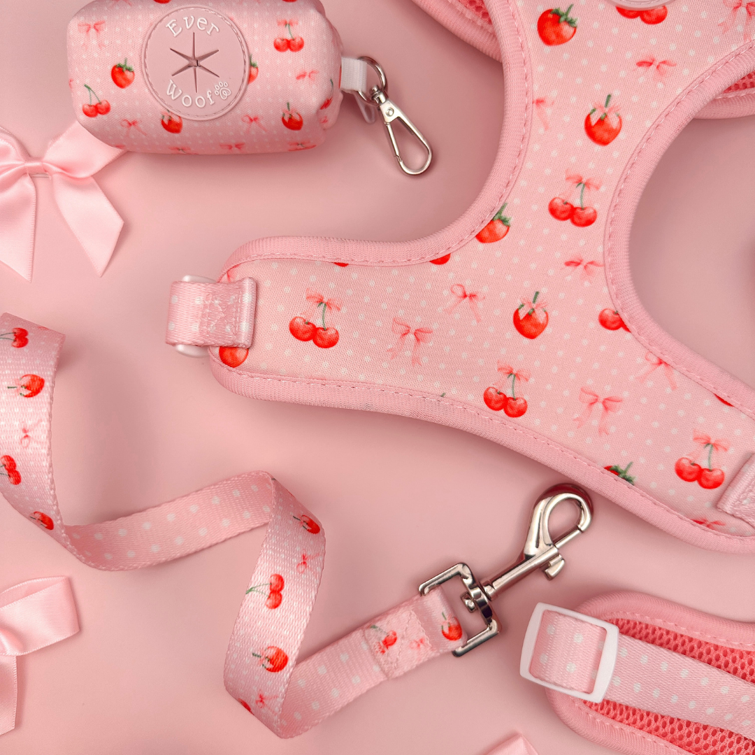 Sweet Chérie Leash-Leash-BIG FRENCHIES-EverWoof