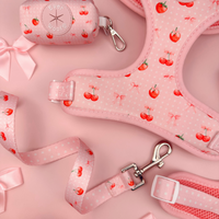 Sweet Chérie Leash