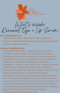 Renewal Eye + Lip Serum - BIG FRENCHIES