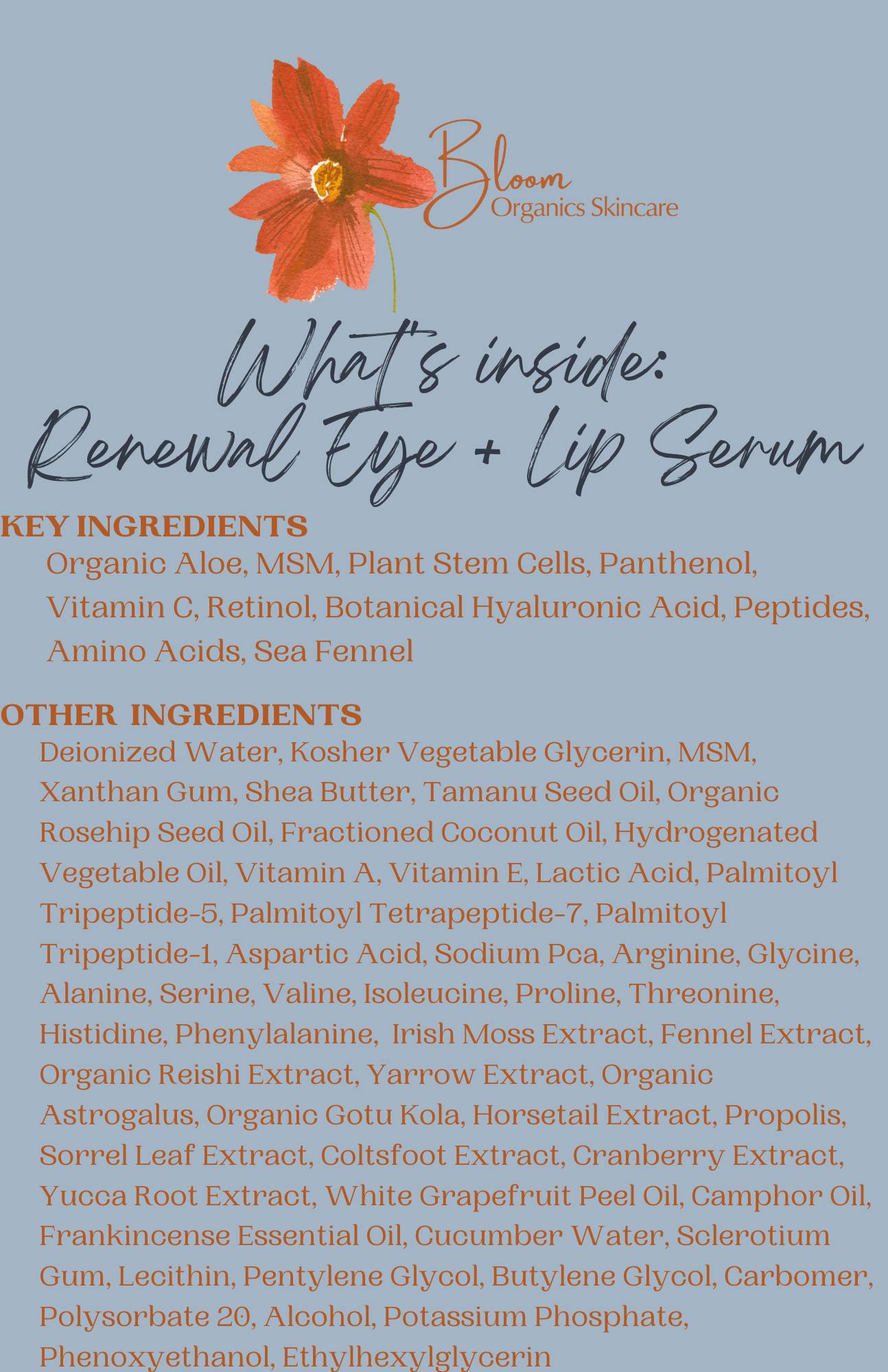 Renewal Eye + Lip Serum - BIG FRENCHIES