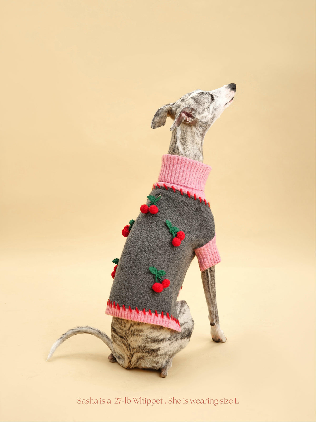 Cherry Kiss Sweater-Pet Apparel-BIG FRENCHIES-BarkBarkBaby