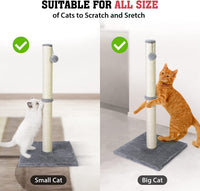 31'' Tall Cat Scratching Post - BIG FRENCHIES