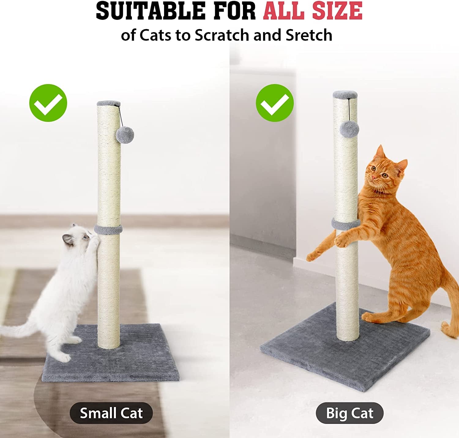 31'' Tall Cat Scratching Post - BIG FRENCHIES