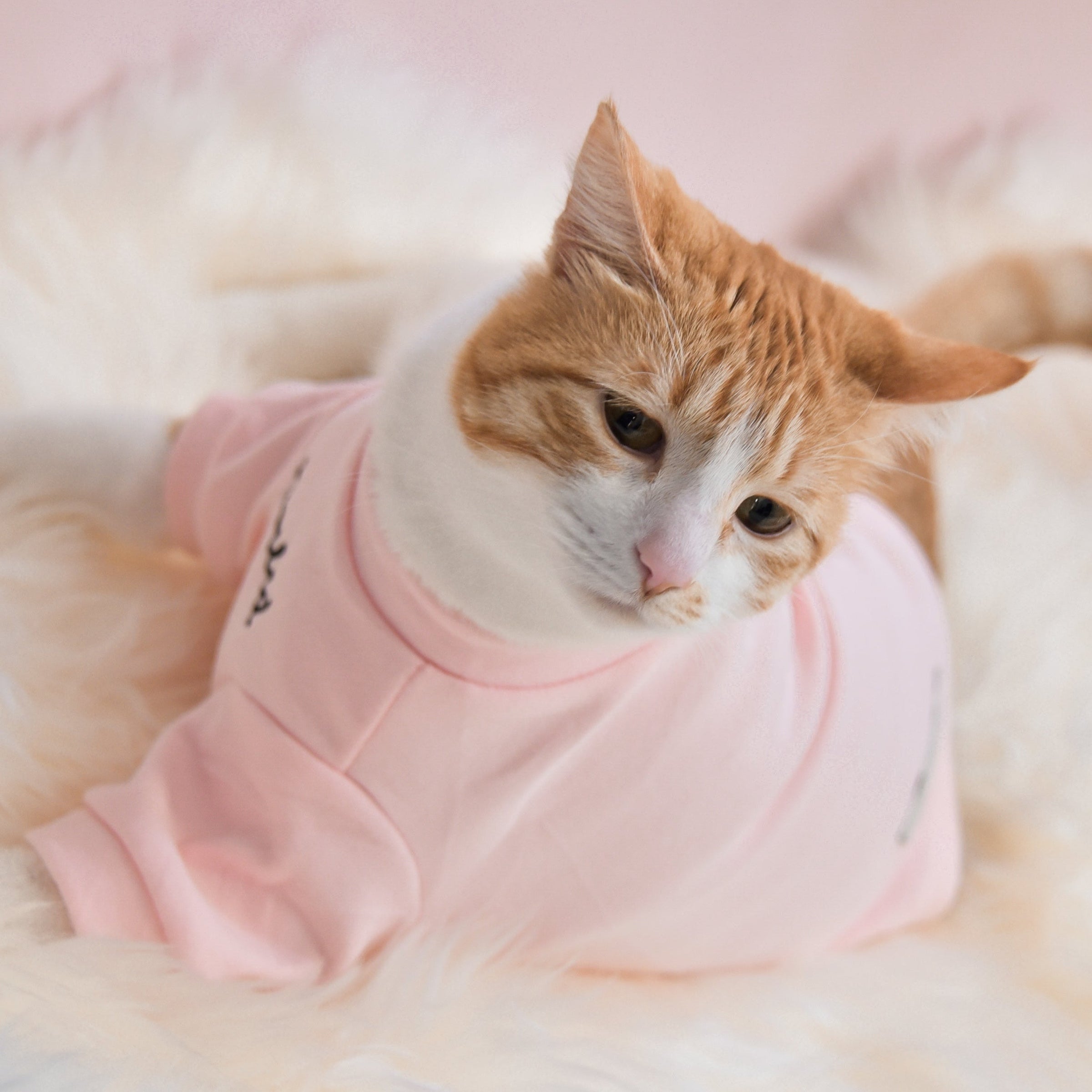 “Spoiled” Mock Neck Shirt - Cupid’s Blush