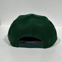 I Dropped ACID at Disneyworld Green SnapBack Cap Hat Custom Embroidered