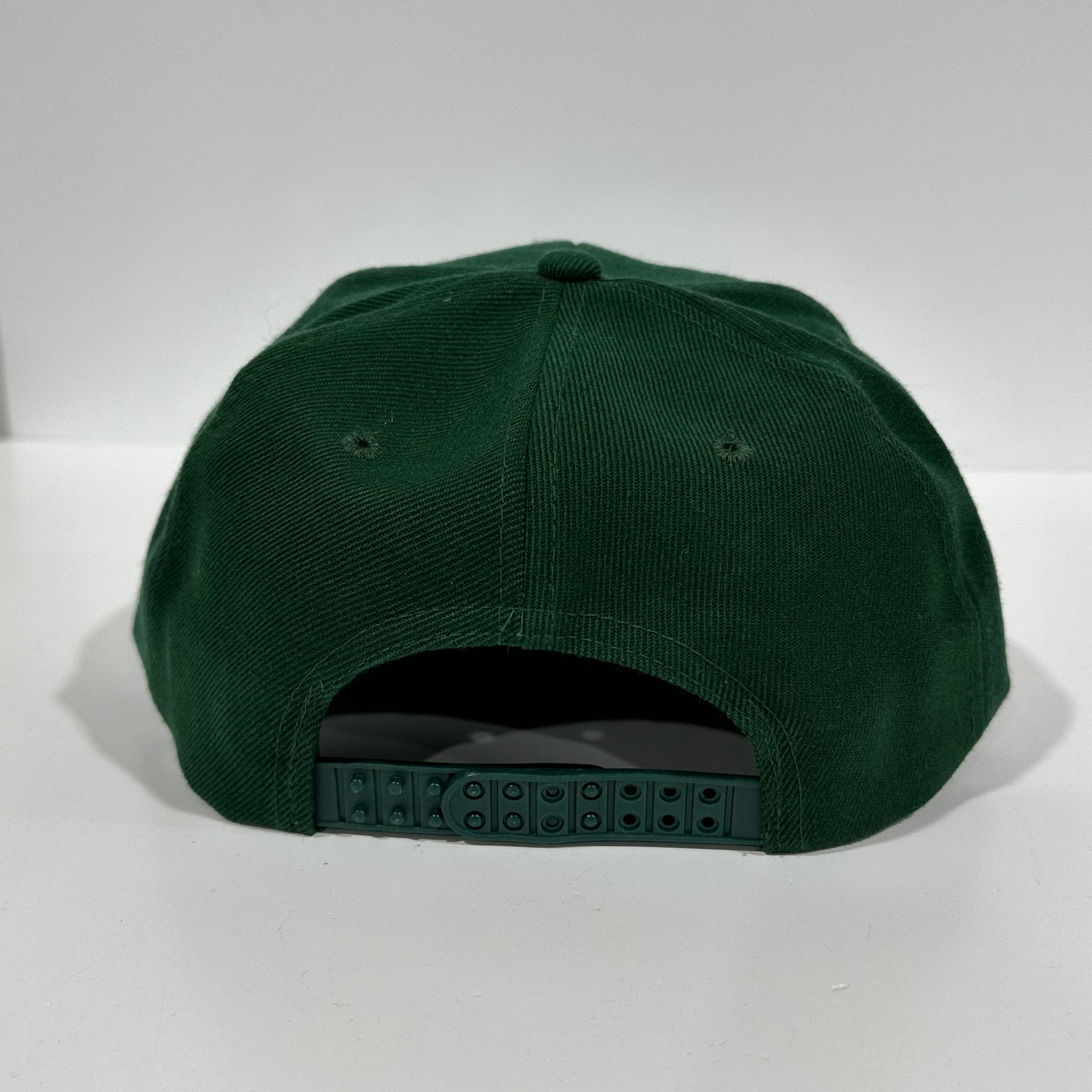 I Dropped ACID at Disneyworld Green SnapBack Cap Hat Custom Embroidered