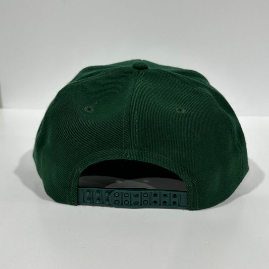 I Dropped ACID at Disneyworld Green SnapBack Cap Hat Custom Embroidered