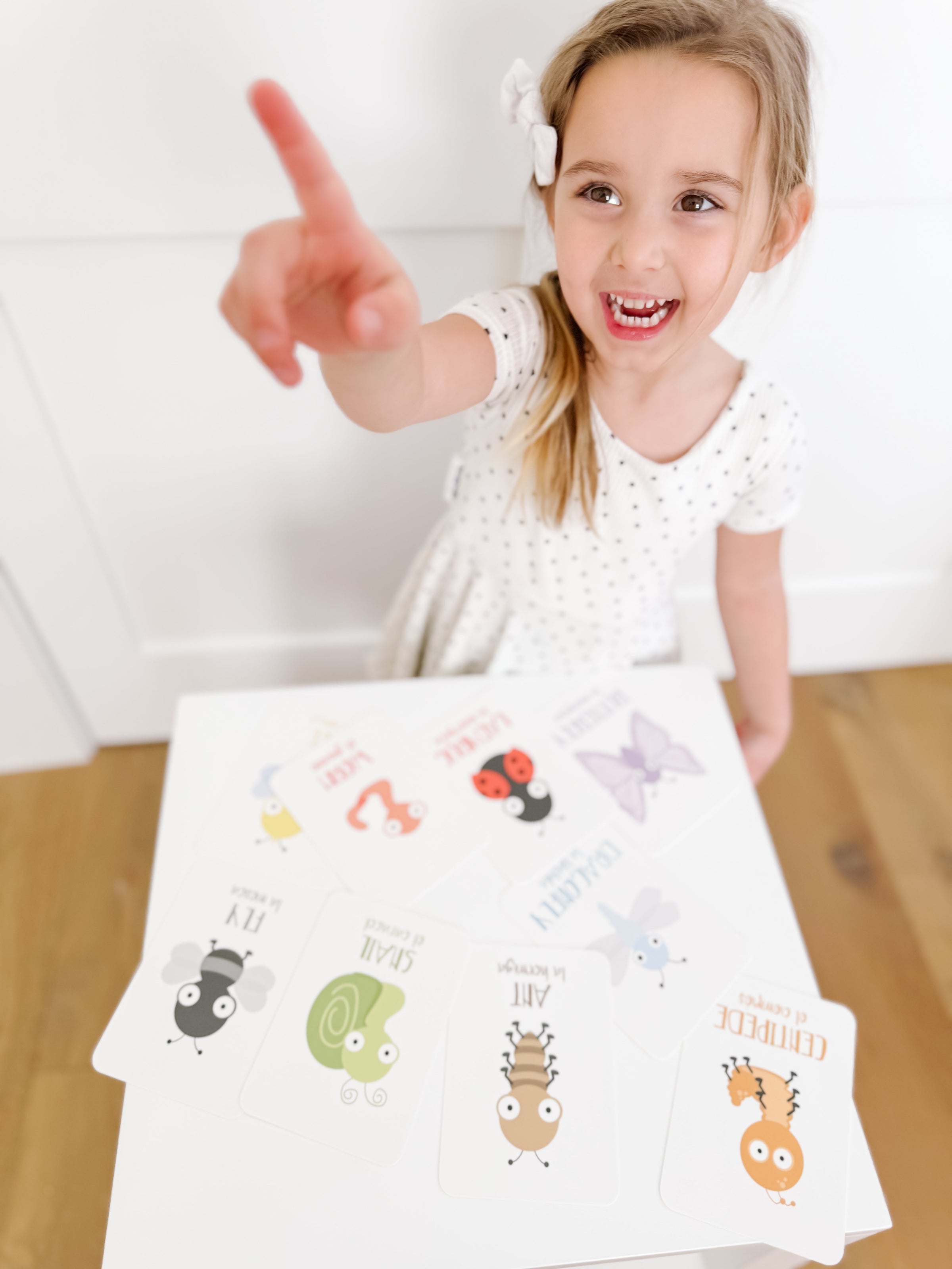 Bugs Flashcards