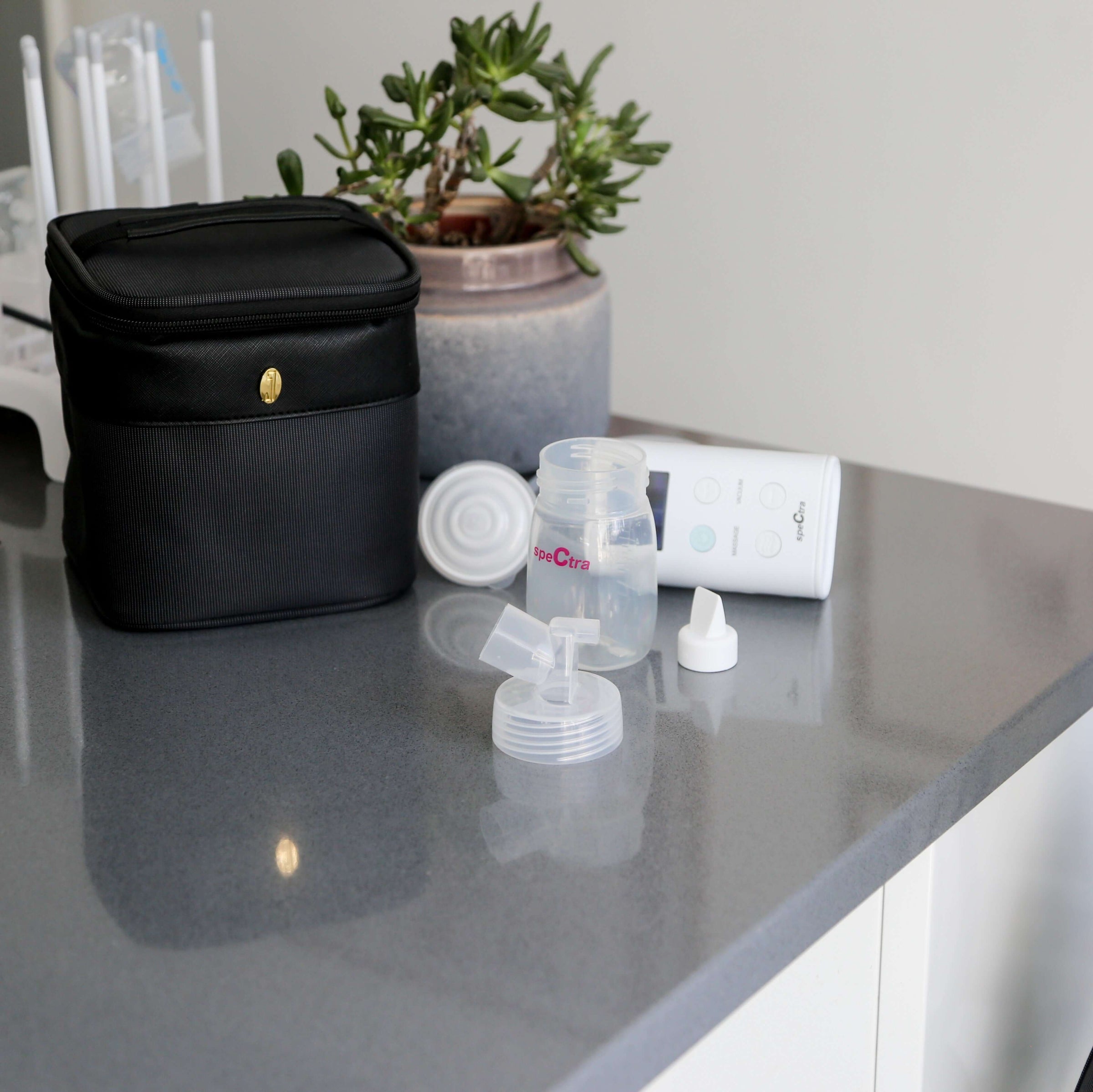 Spectra Pump Parts: Base Connector Widemouth Flange Adapter