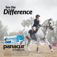 Panacur Equine Paste 10% Horse Dewormer 25g Apple Flavor 100mg