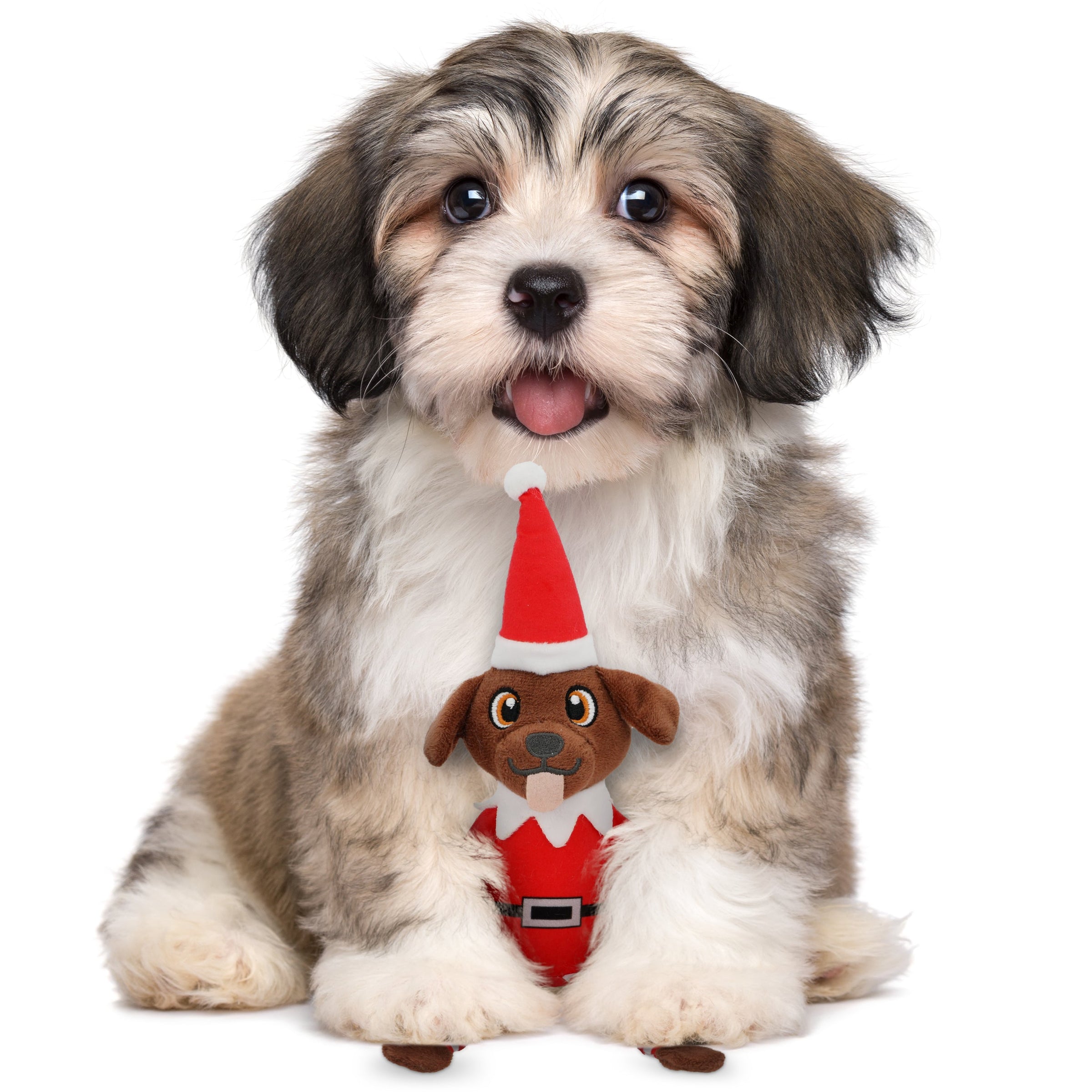 Pooch on a Perch – Christmas Elf Dog Toy with Squeaker & Crinkle Paper