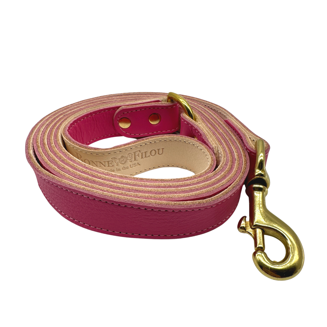 Plain Leather Dog Leashes - BIG FRENCHIES