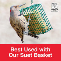 C&S Berry Suet Treat 11.75 oz Wild Bird Suet Cake Year-Round Cranberry Blend