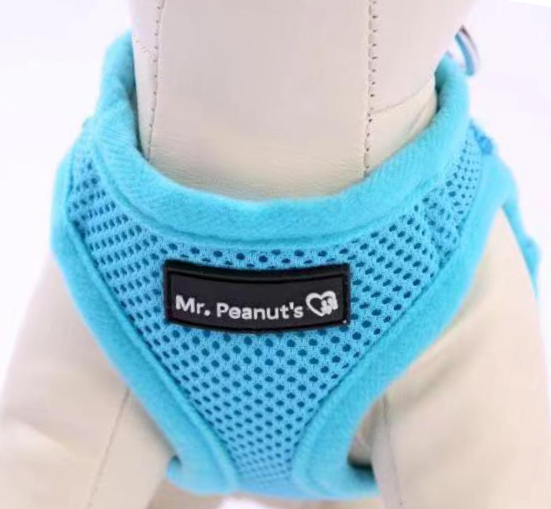 Mr. Peanut's PupTrek Soft Mesh Pet Harness with Matching Leash – Adjustable, Breathable, Choke-Free - BIG FRENCHIES