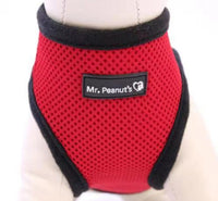 Mr. Peanut's PupTrek Soft Mesh Pet Harness with Matching Leash – Adjustable, Breathable, Choke-Free - BIG FRENCHIES