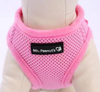 Mr. Peanut's PupTrek Soft Mesh Pet Harness with Matching Leash – Adjustable, Breathable, Choke-Free - BIG FRENCHIES