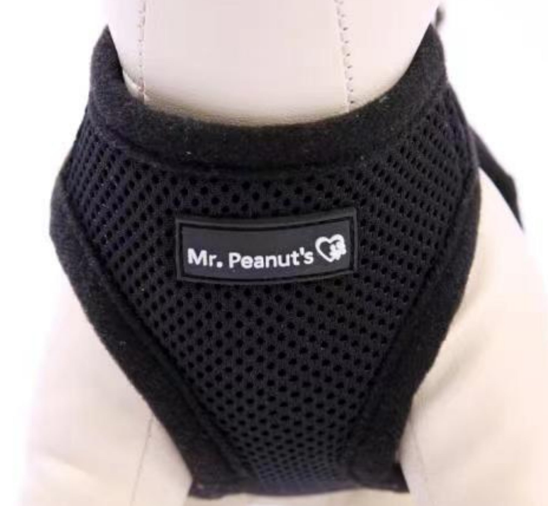 Mr. Peanut's PupTrek Soft Mesh Pet Harness with Matching Leash – Adjustable, Breathable, Choke-Free - BIG FRENCHIES