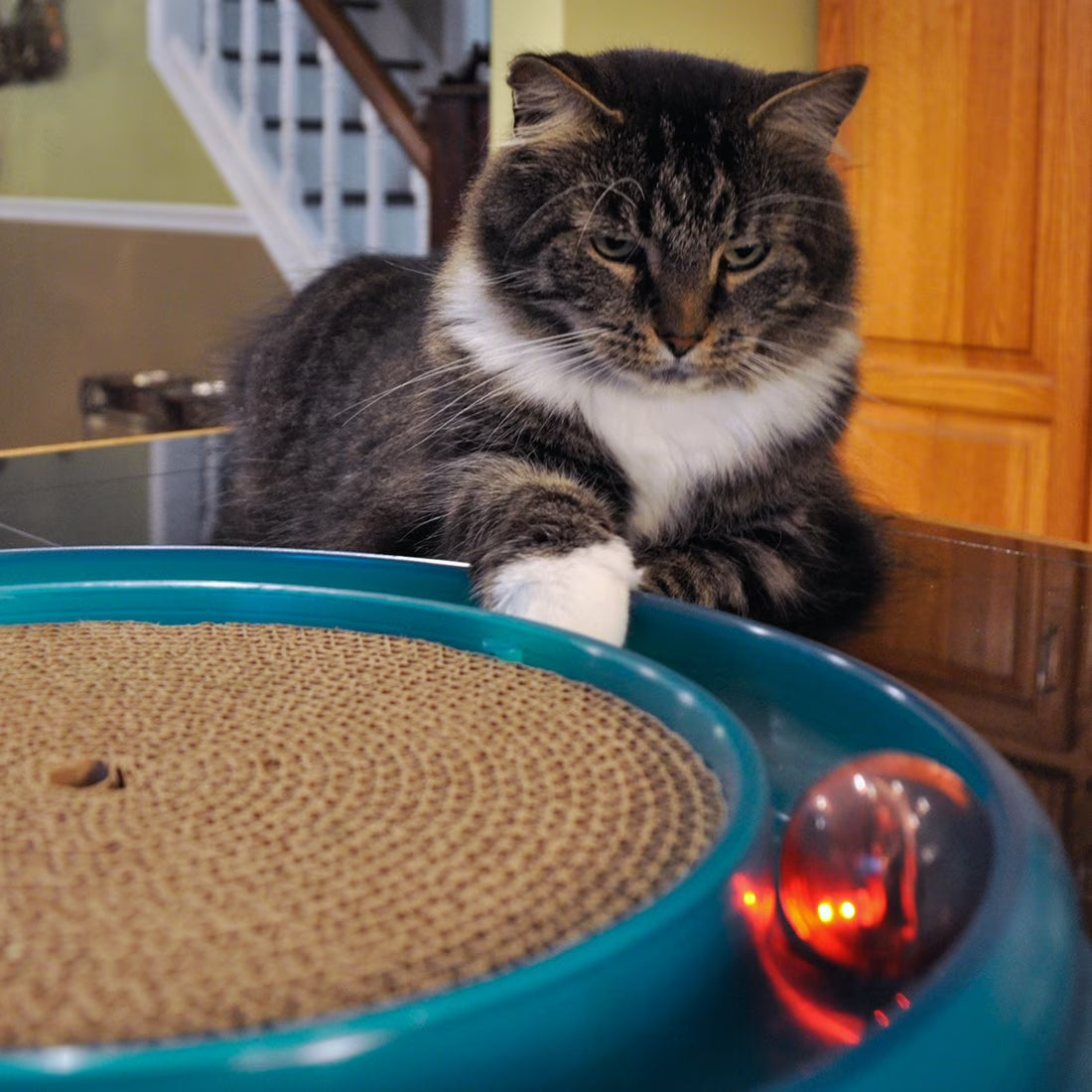 Bergan LED Replacement Ball Motion Activated for Star Chaser Turbo Scratcher Cat Toy