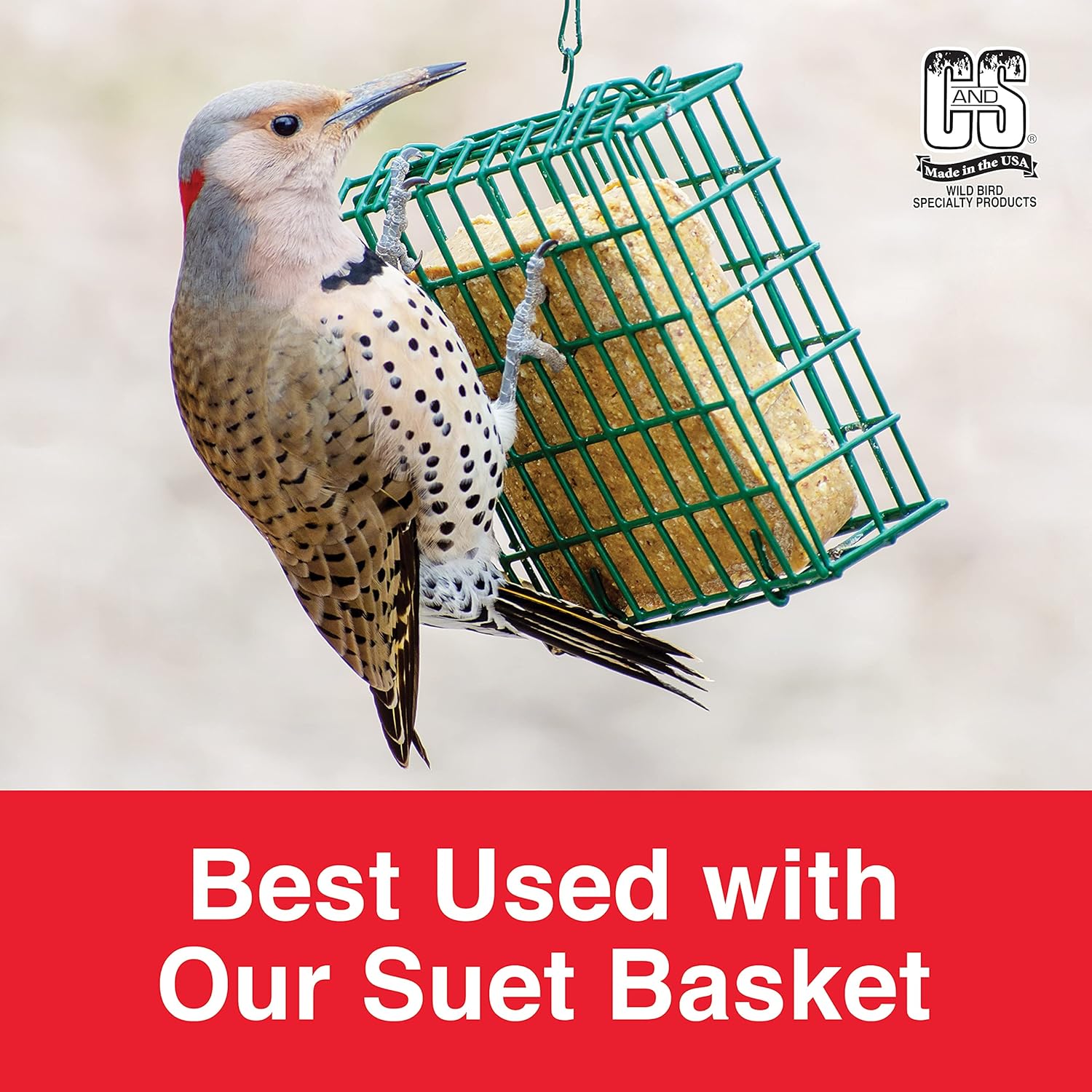 C&S Berry Suet Treat Bird Cake 11.75 oz & Large Suet Basket Feeder Combo
