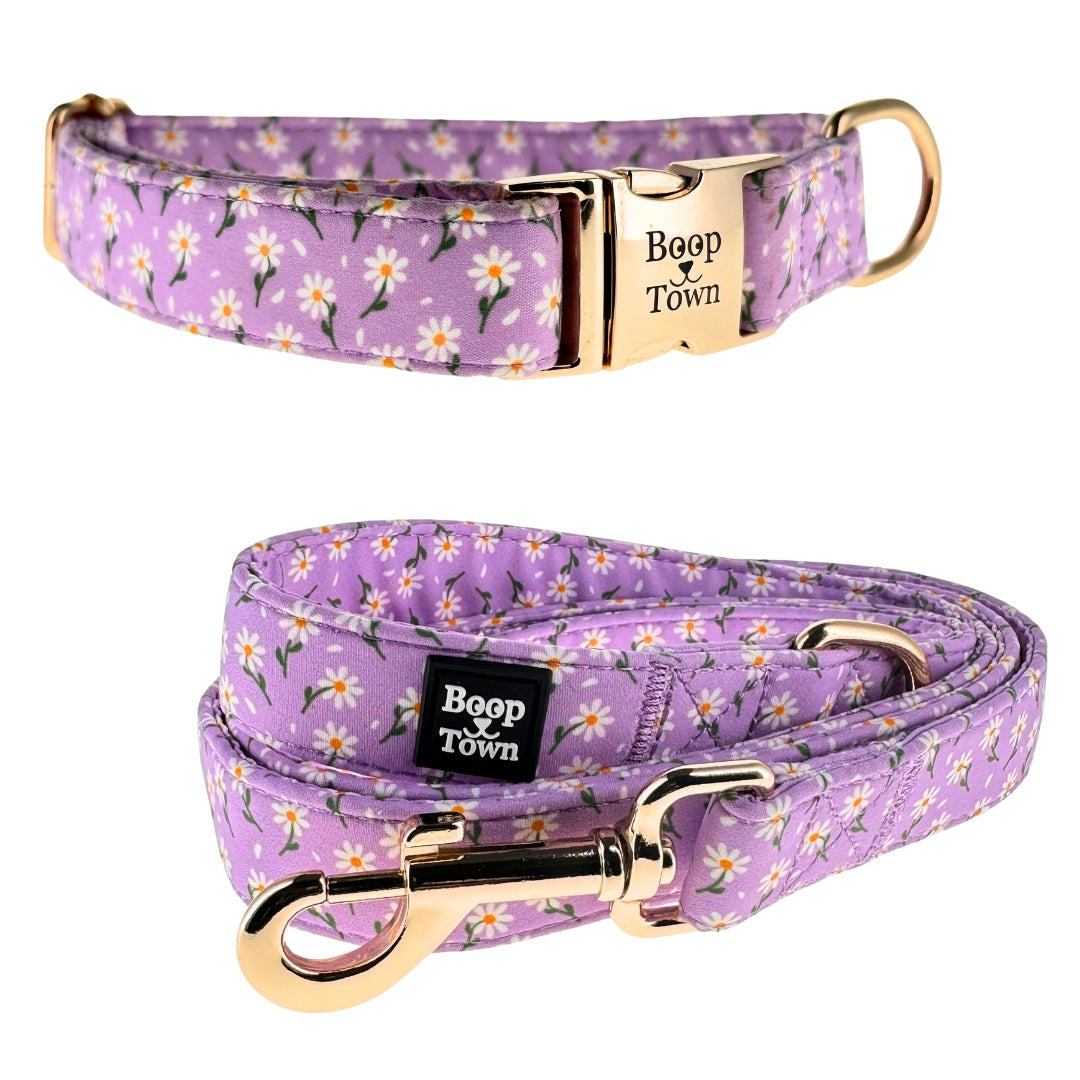 Dog Collar & Leash Sets-Pet Collars & Leashes-BIG FRENCHIES-Boop Town