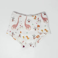 Rose Dinosaur Family Potty Training Pants - BIG FRENCHIES