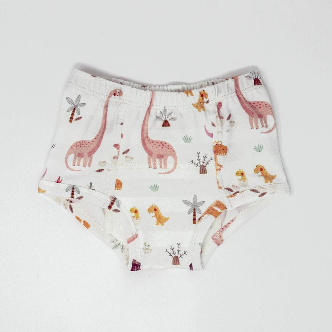 Rose Dinosaur Family Potty Training Pants - BIG FRENCHIES