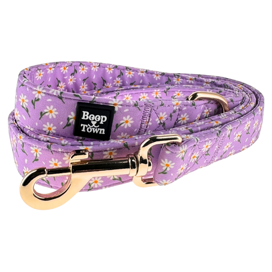Dog Leashes-Pet Collars & Leashes-BIG FRENCHIES-Boop Town