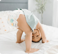 Diaper Box & Wipes Bundle | 100% Cotton-Lined TCF Diapers Size 1-6 | Kudos - BIG FRENCHIES