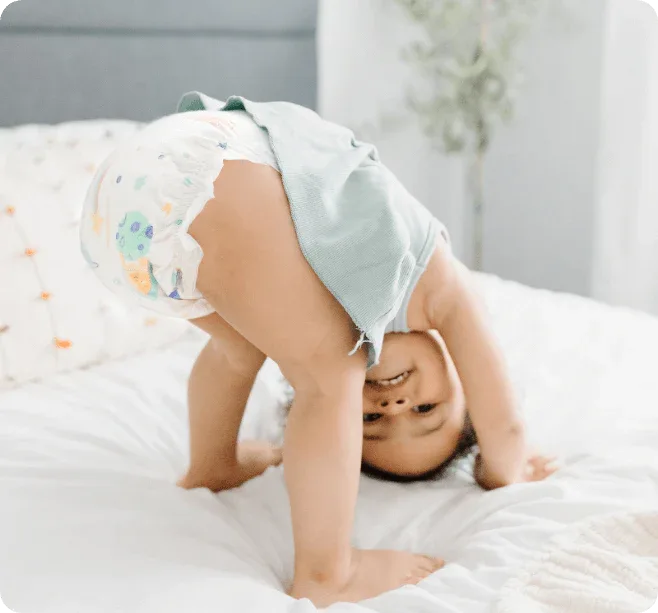 Diaper Box & Wipes Bundle | 100% Cotton-Lined TCF Diapers Size 1-6 | Kudos - BIG FRENCHIES