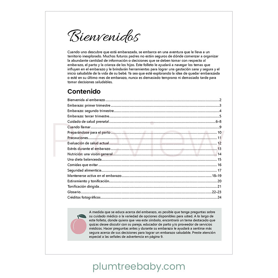 Healthy Pregnancy Booklet - BIG FRENCHIES